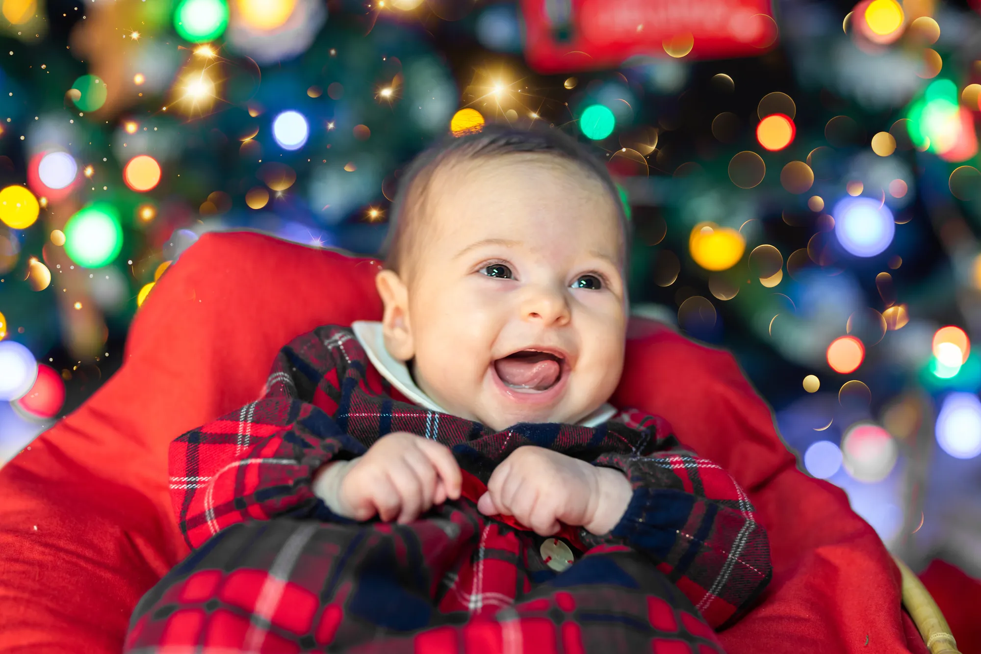 Natale, Studio Frau Fotografia