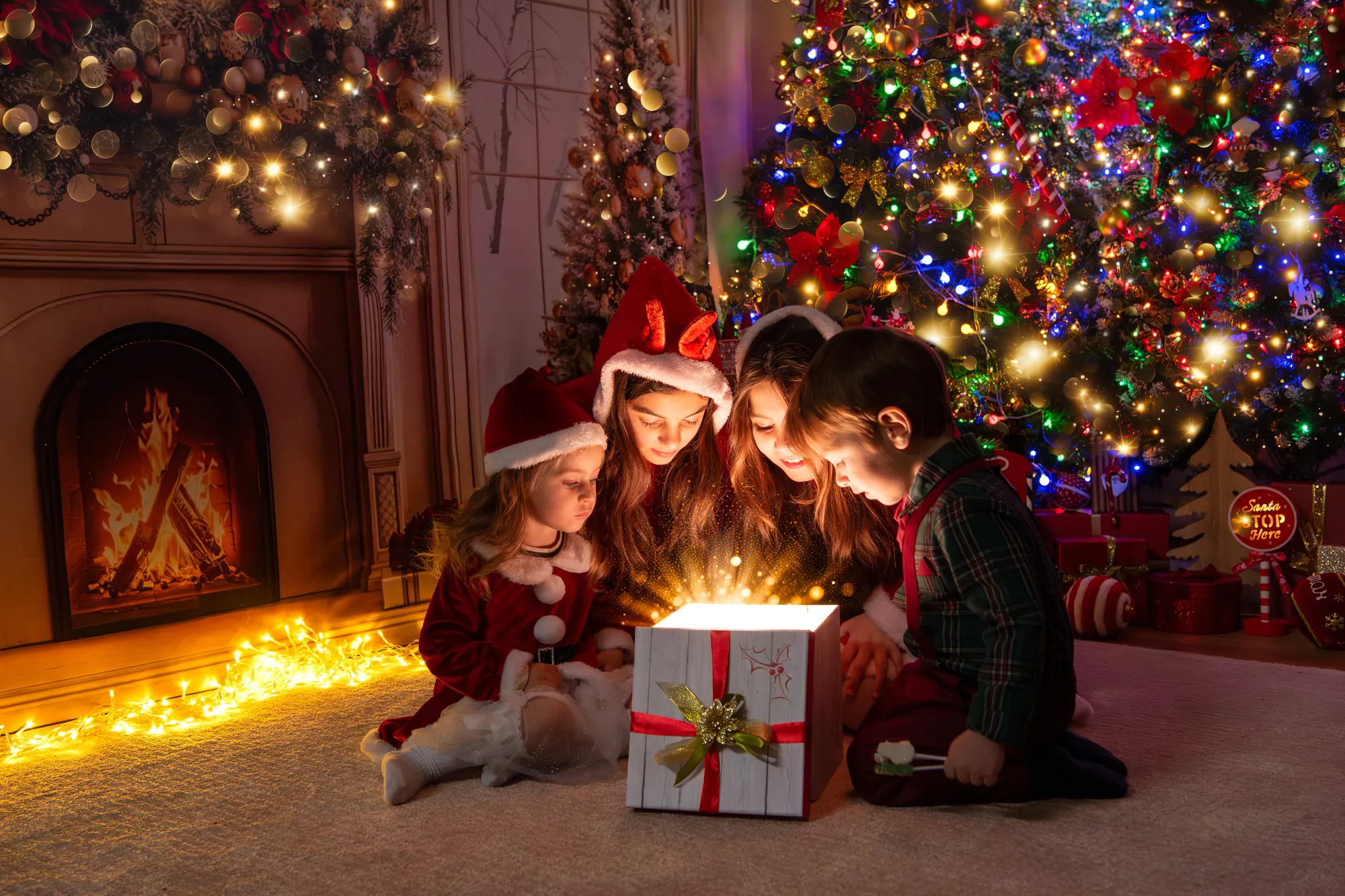 Natale, Studio Frau Fotografia
