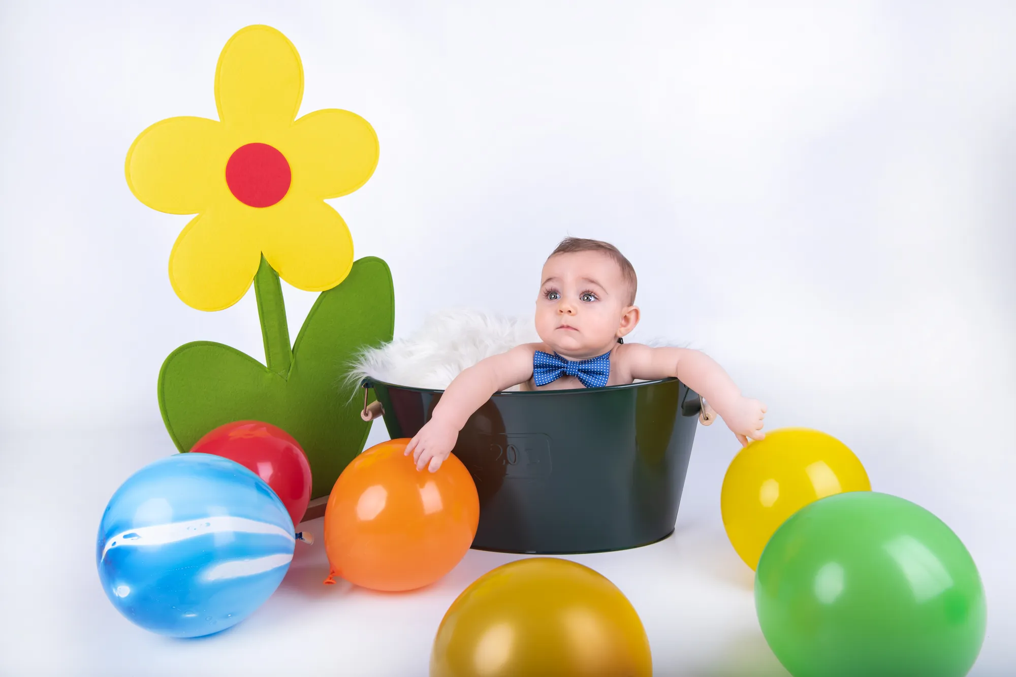 Sitter, Studio Frau Fotografia